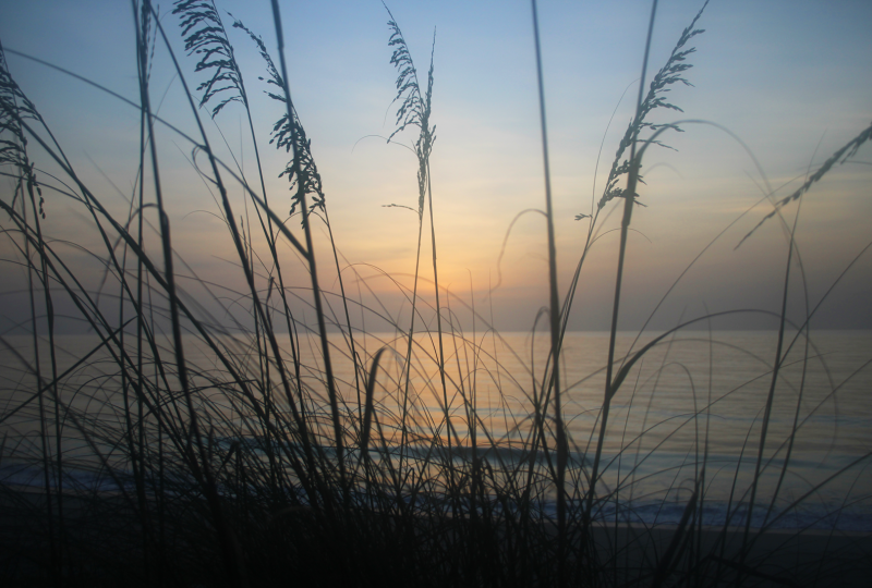 CONTEST S2022 MBUCK Pastel Sunrise