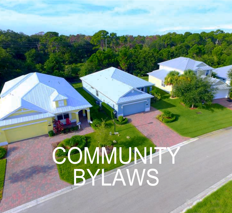 SERENOA HOMES BIRD'S EYE W. COPY