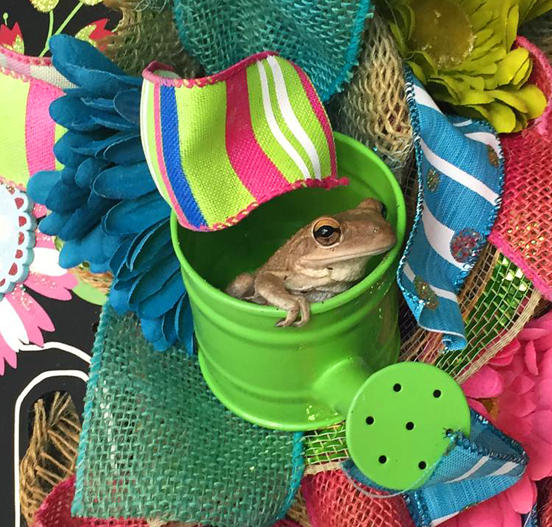 STOWAWAY
